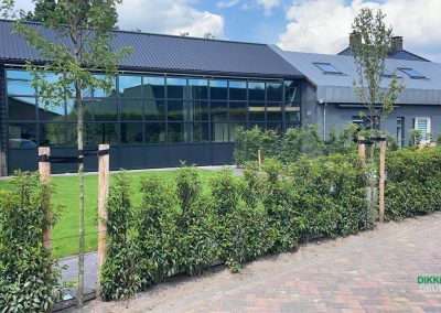 Nieuwbouw wagenloods/bedrijfshal