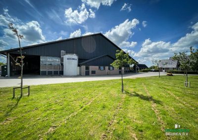 Renovatie jongveestal