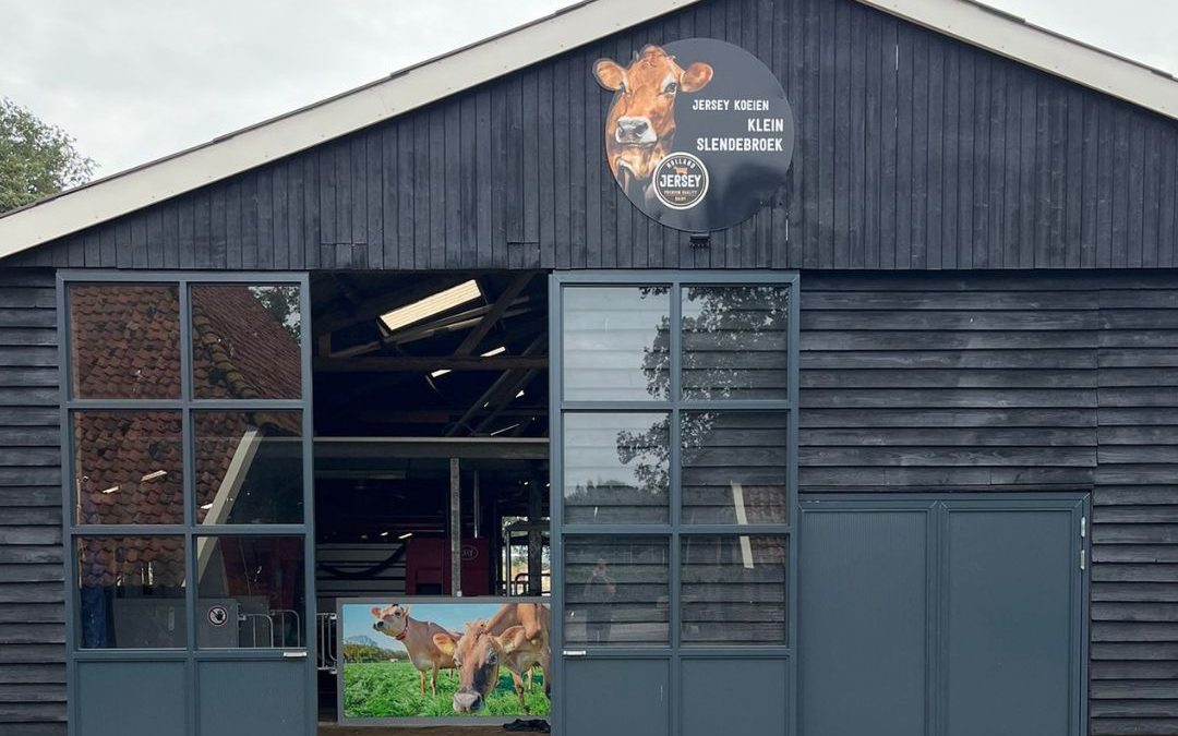 Jersey Boerderij Klein Slendebroek